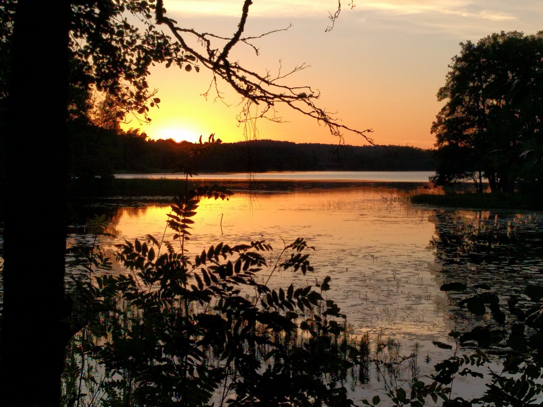 Avondrood