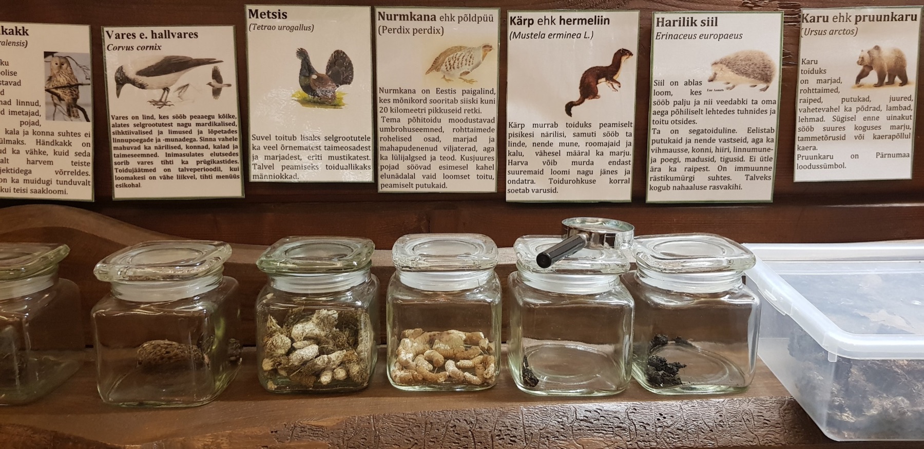 Dag van de natuur