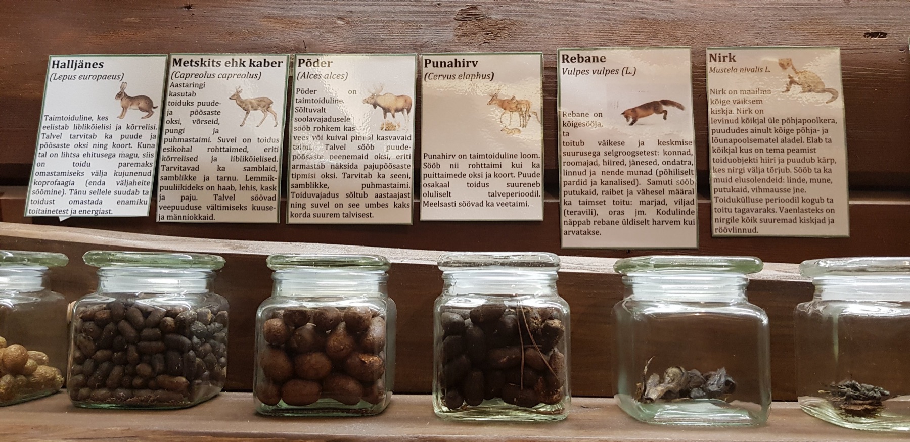 Dag van de natuur