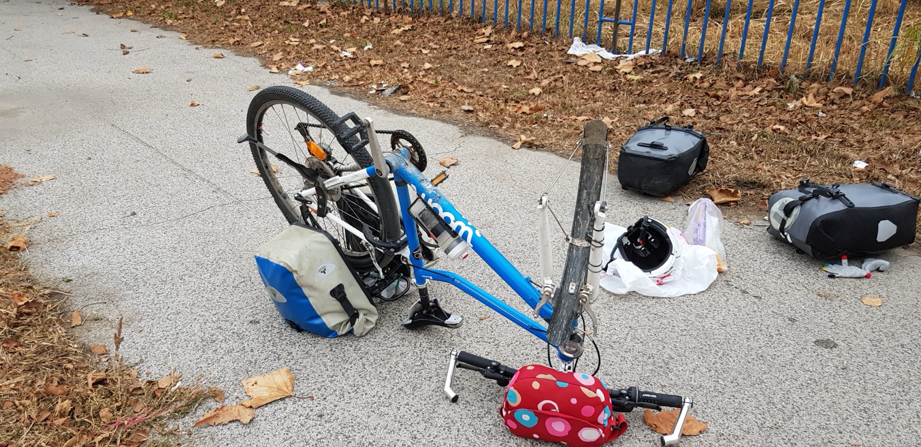 Doornen op de weg