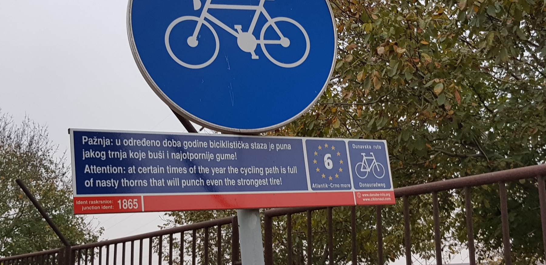 Doornen op de weg