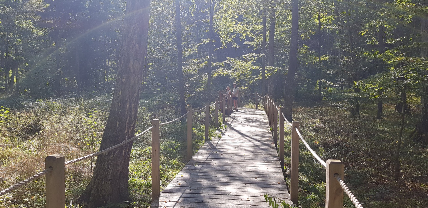 Een impulsieve rustdag in Bialowieza