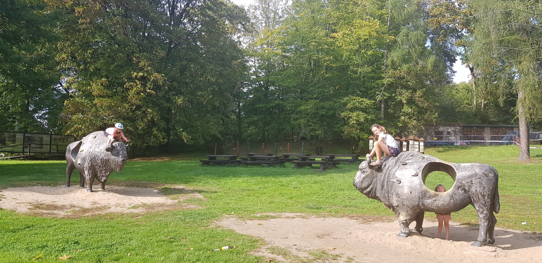 Een impulsieve rustdag in Bialowieza