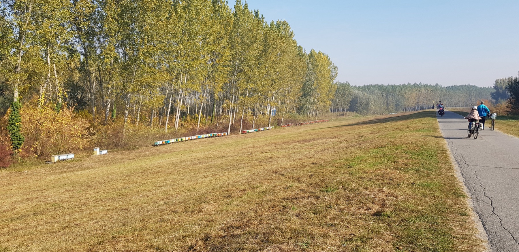 Herfstkleuren