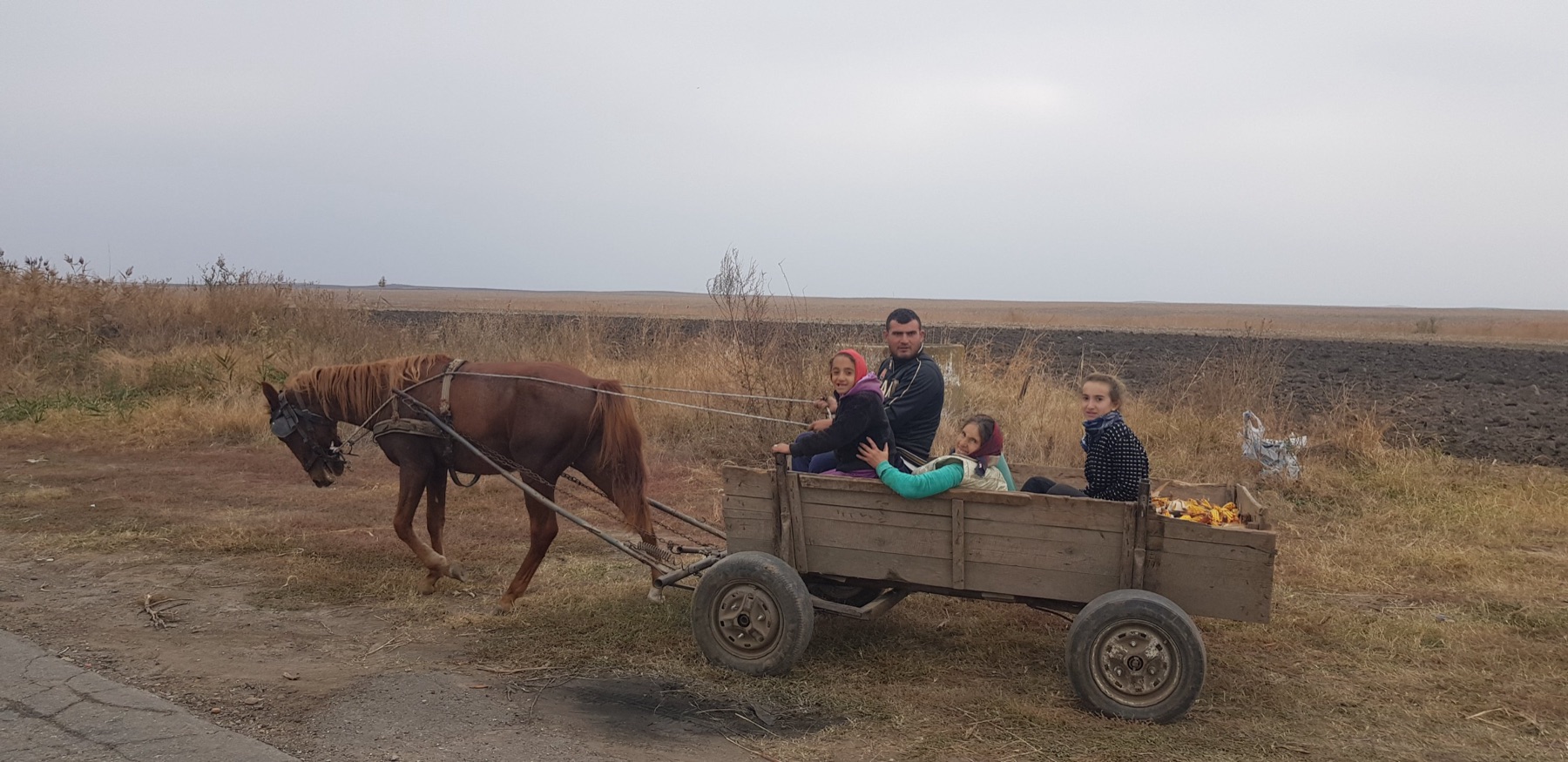Lintbebouwing