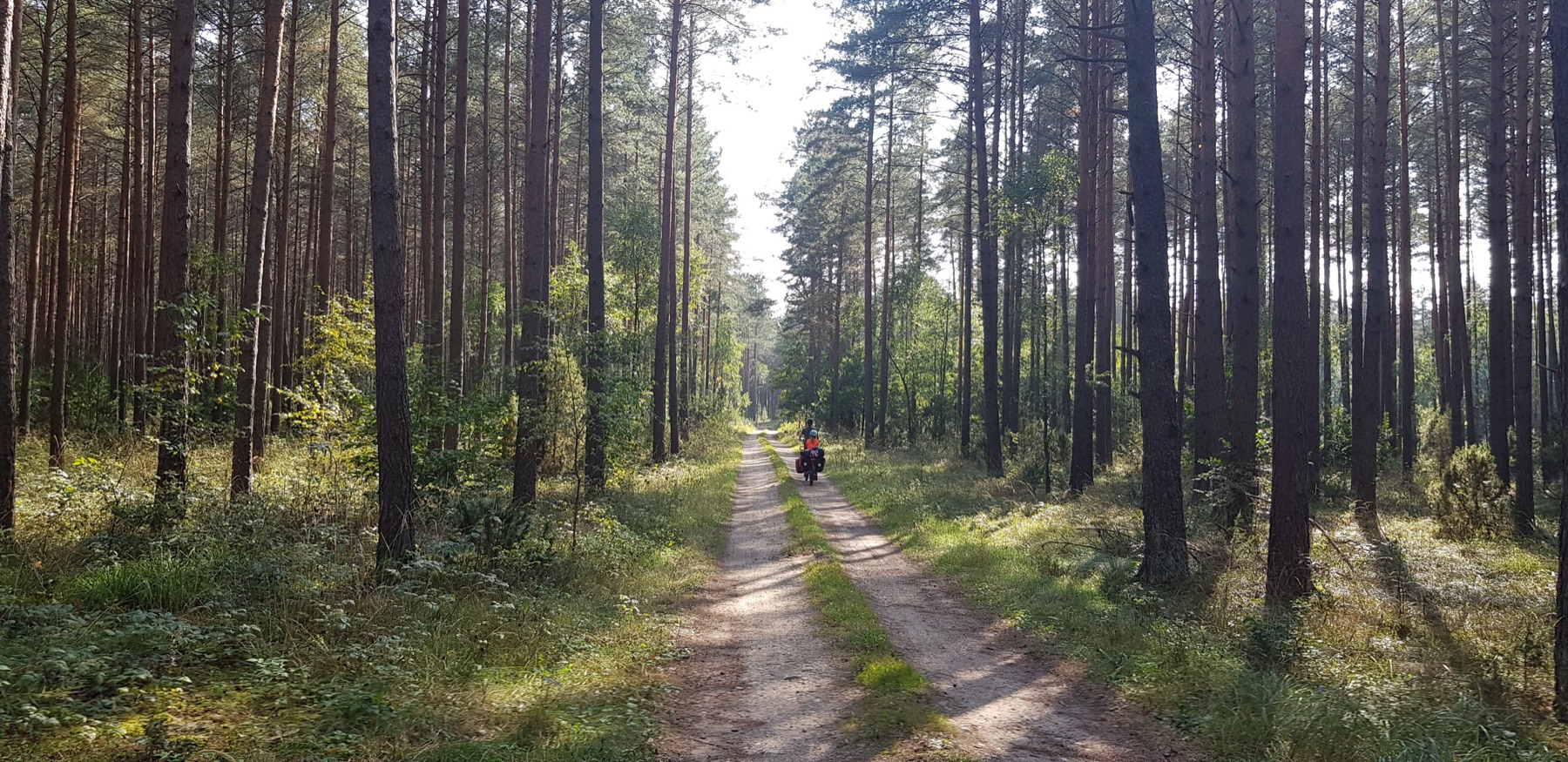 Polska