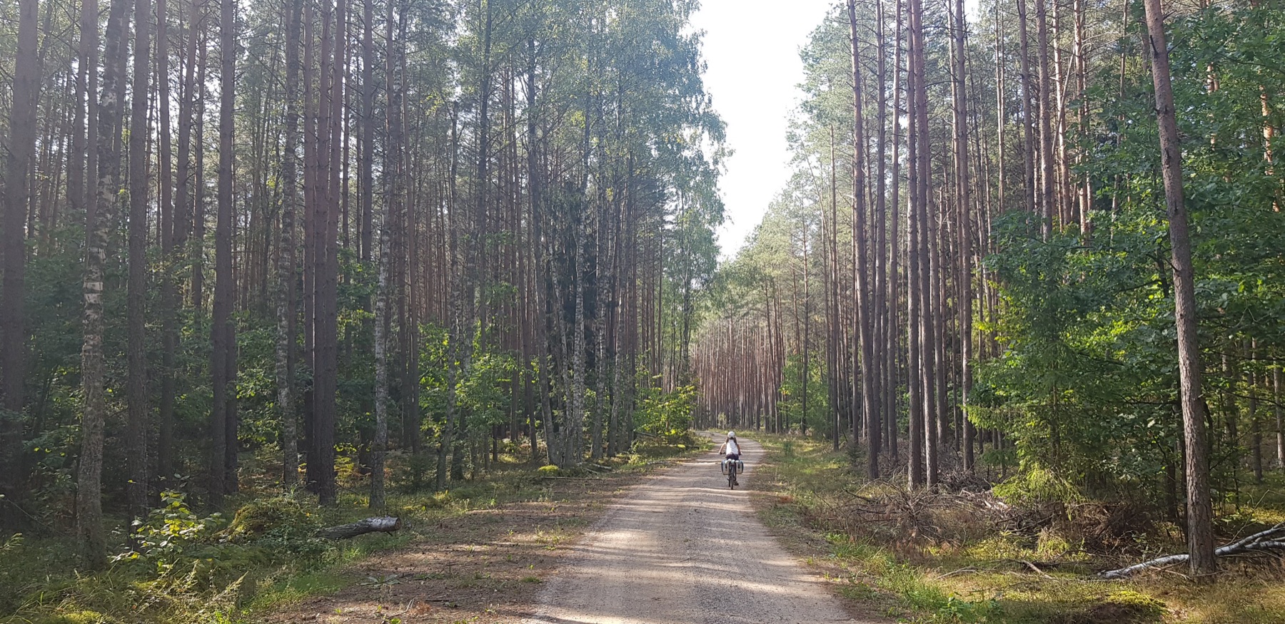Polska